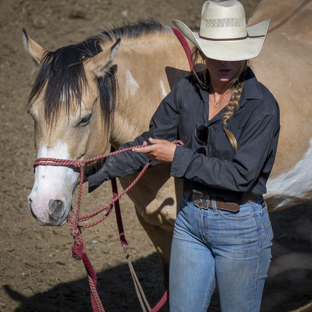 Buffalo Valley Ranch \ Heart 6 Ranch